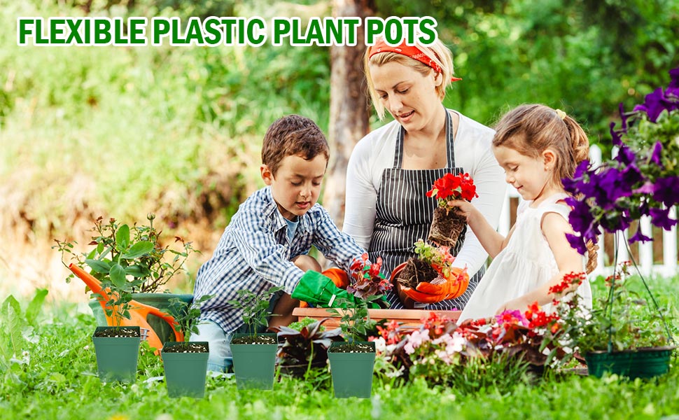 June Fox 100 Pack Green Square Nursery Pots
