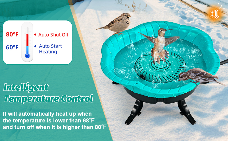 Bain d'oiseaux chauffés