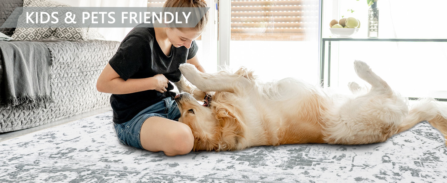 Kids/Pets Friendly