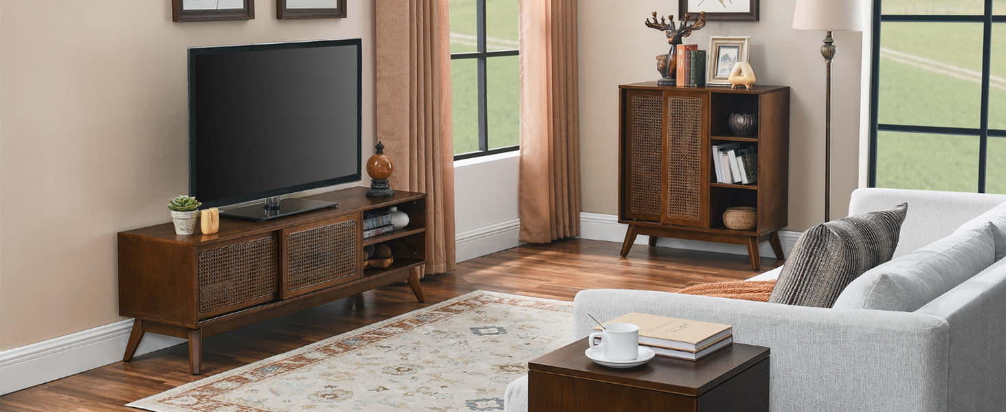 Mid Century Modern TV Stand