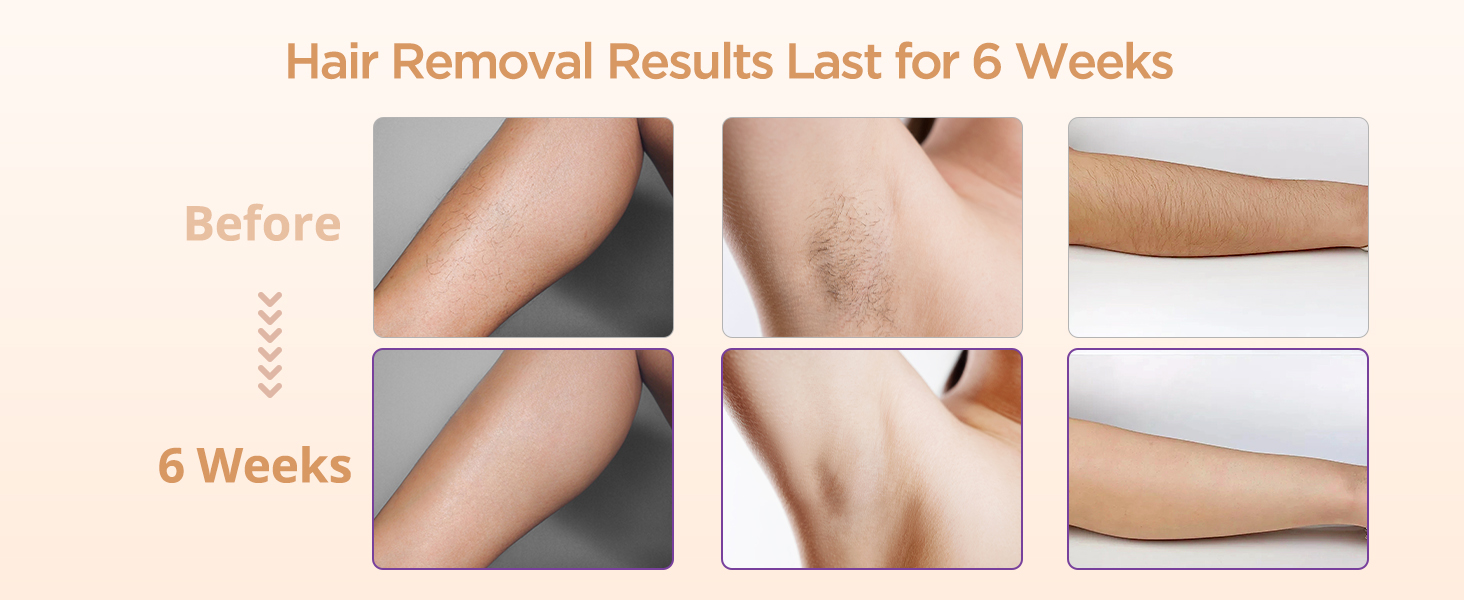 professional wax pot