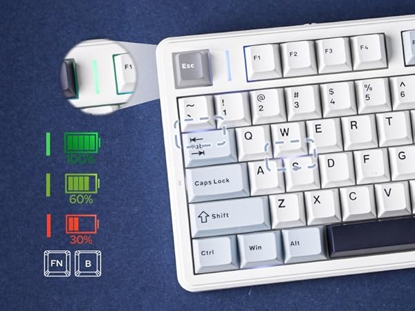 F99PRO