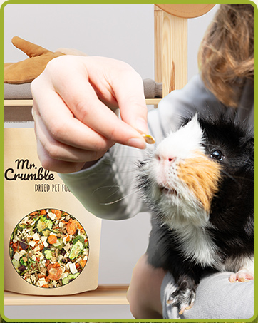 Der Text lautet „The Crumble“. Nahaufnahme einer Hand, die einer schwarz-weißen Katze ein Leckerli anbietet, mit einer Schüssel mit bunt gemischtem Futter in der unteren Ecke.