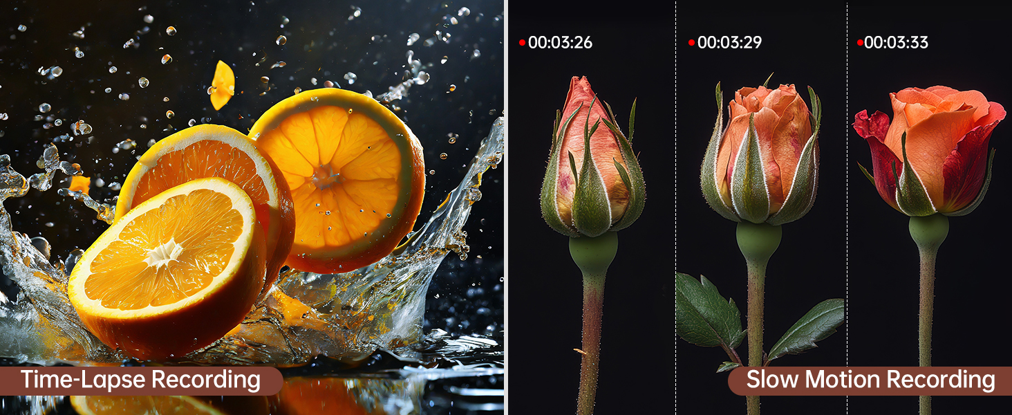 Time-Lapse Recording