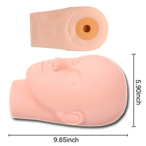 About Mannequin Head