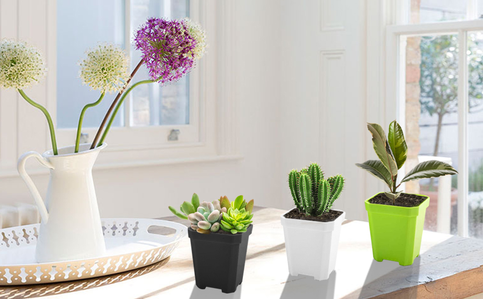 60PCS 2.7" Plants Nursery Pot