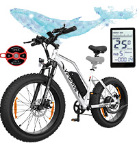 e-bike herren