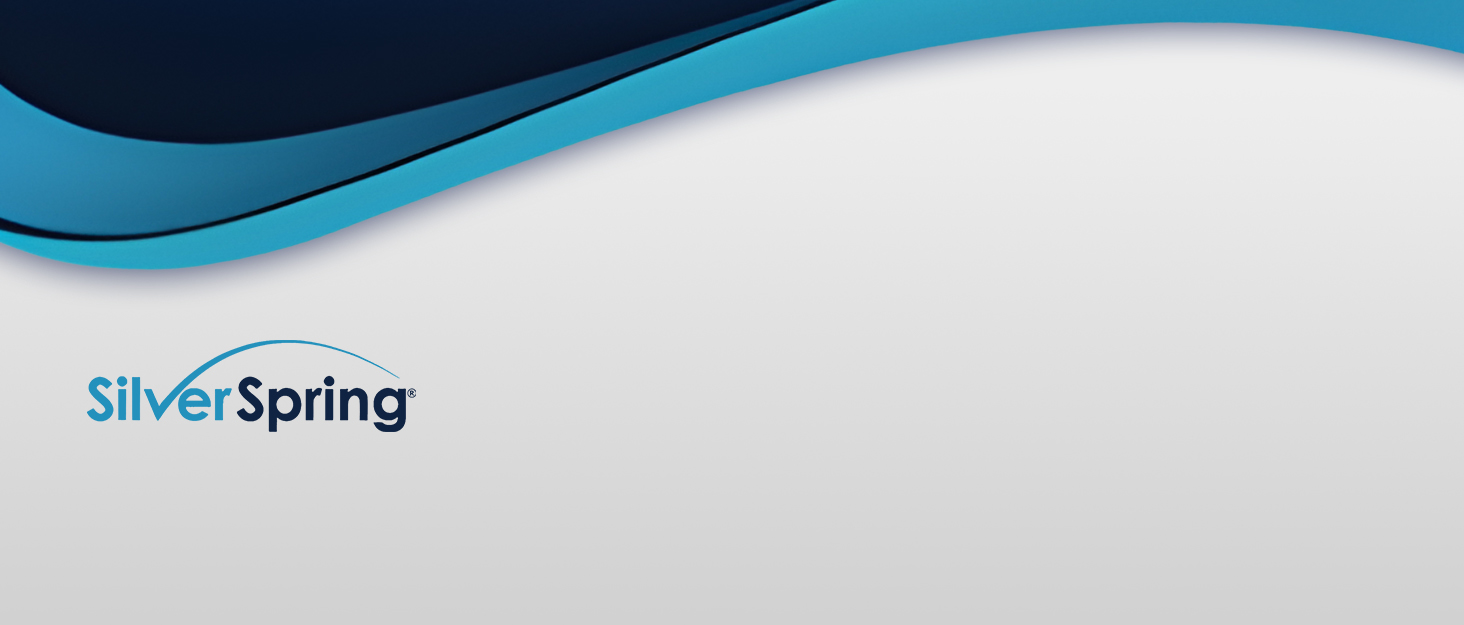 Silver Spring wheelchair carrier hitch mount, durable steel, foldable ramp, mobility scooter hauler