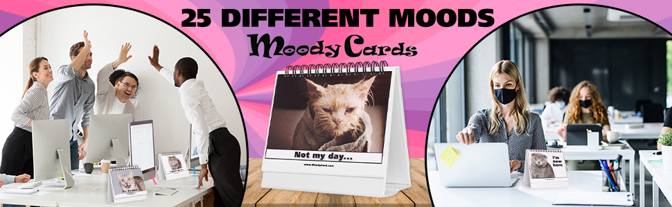 Funny Office Gift For Cat Lovers, Cat Moodycards on a Desk