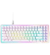 Amazon.com: NZXT Function Elite MiniTKL (White) : Video Games