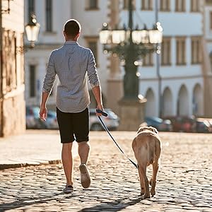 casual shorts for men