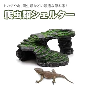 Amazon | Hyack レオパ シェルター 爬虫類 亀 陸地 隠れ家