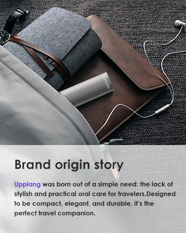 Electric Toothbrush Portable Sonic with Protective Case 