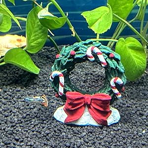 Christmas aquarium decoration, fish tank holy wreath, fish tank Christmas decoration