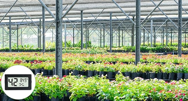 Thermometer Hygrometer