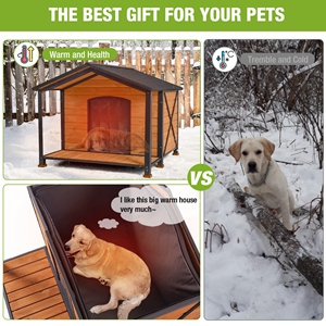 heated dog house