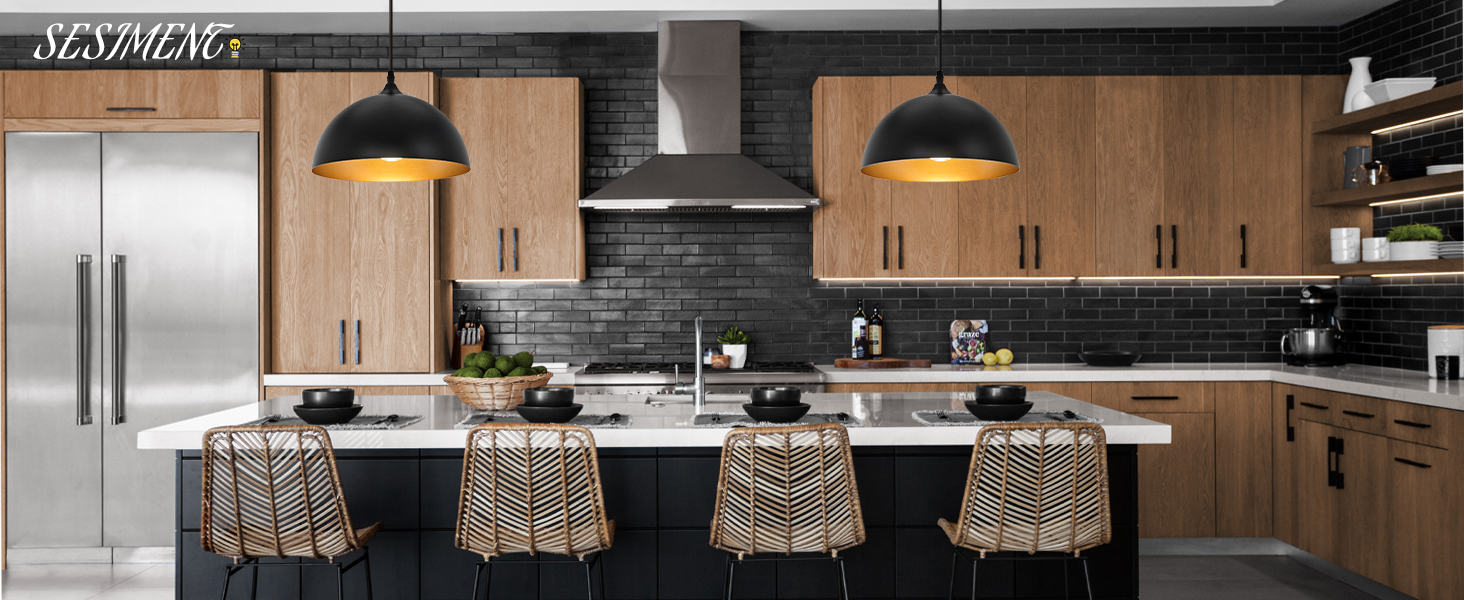 Industrial pendant light