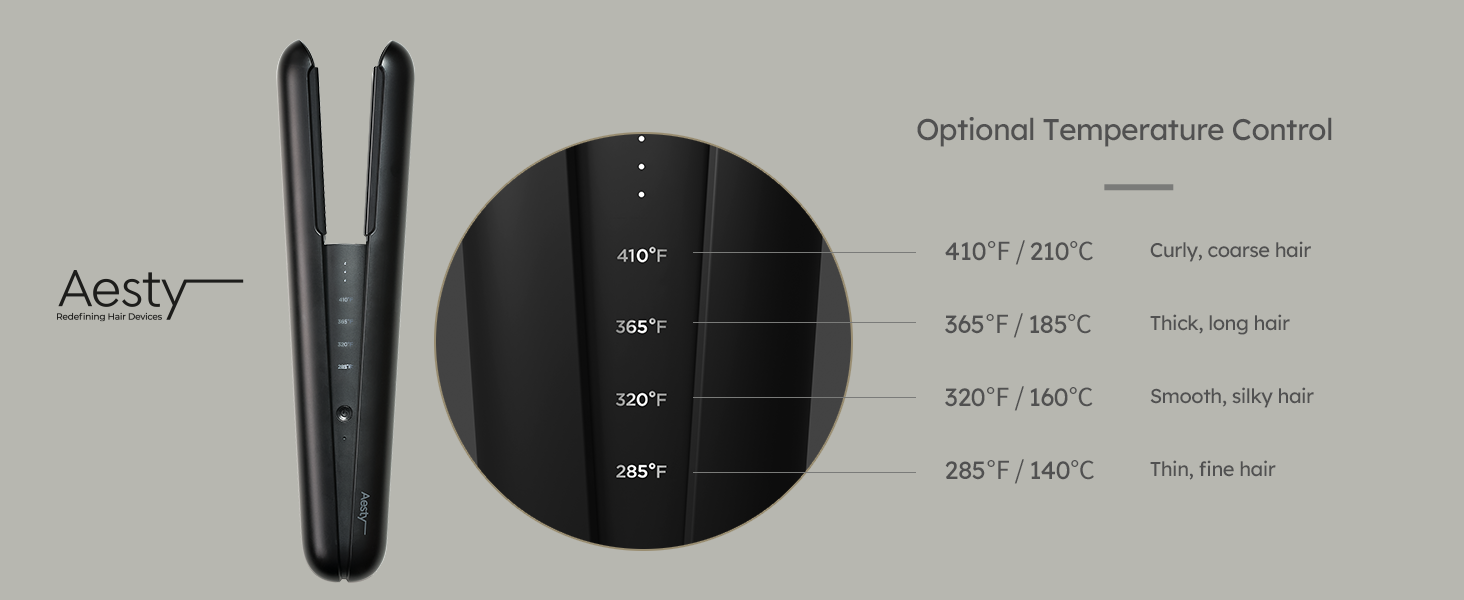 Aesty dual heater ceramic
