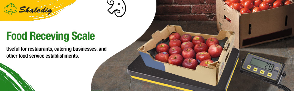 Digital Receiving Scale