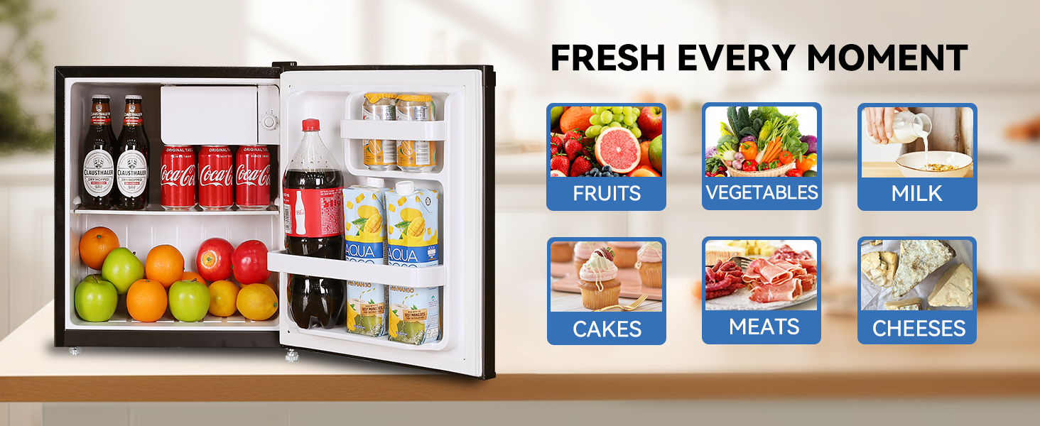 Mini Fridge with Freezer