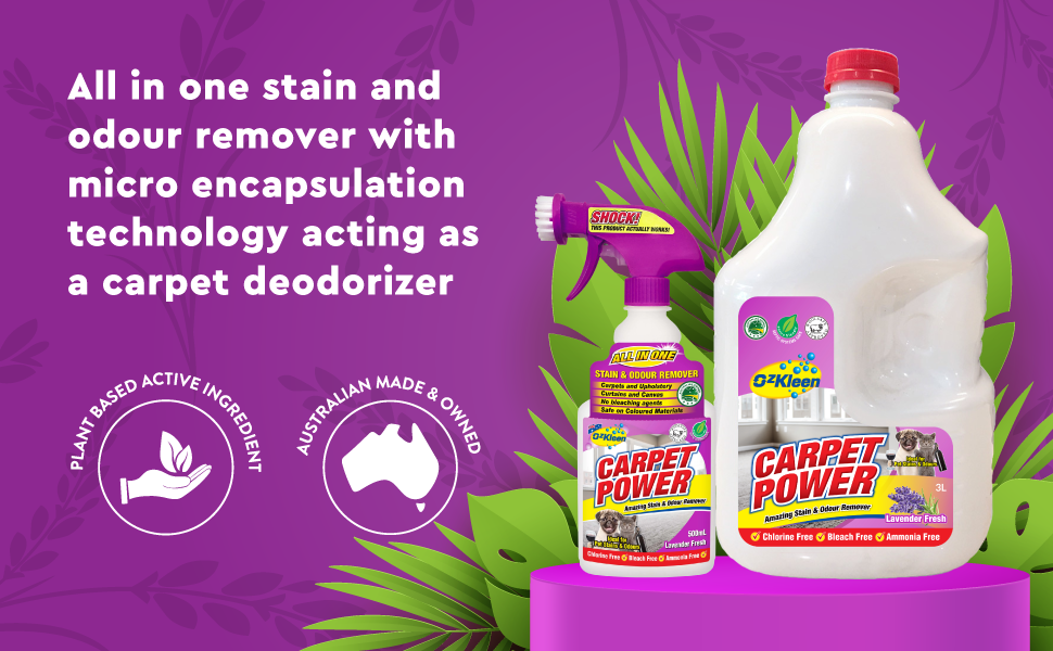OzKleen Carpet Power 3LTR + 500ml FREE PROMOTION Carpet Stain Remover
