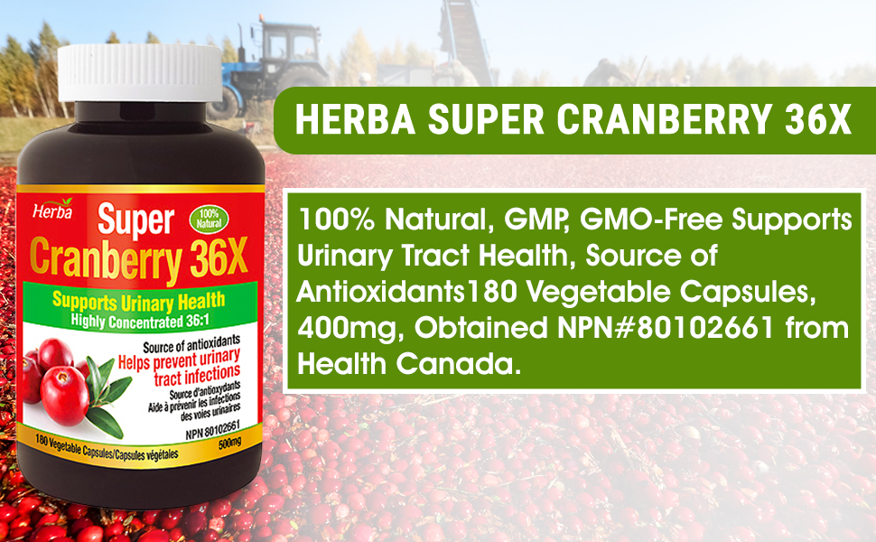 Herba Cranberry Supplement 36x Extract 28,800mg Per Day 180