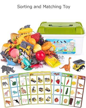 Sorting and Matching Toy