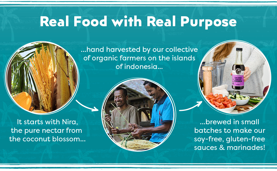 Coco Aminos are made from Nira, the pure nectar from the coconut blossom.