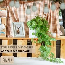 fake plant hanging small plant shelf  hanging plant shelves artificial house plants 