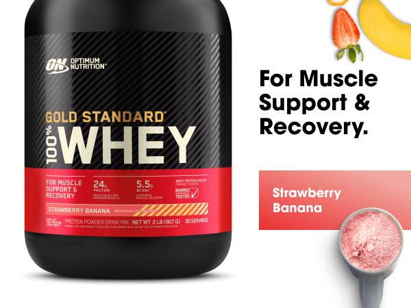 optimum nutrition whey protein, gold standard protein powder, BEST SELLING PROTEIN, ON protein shake
