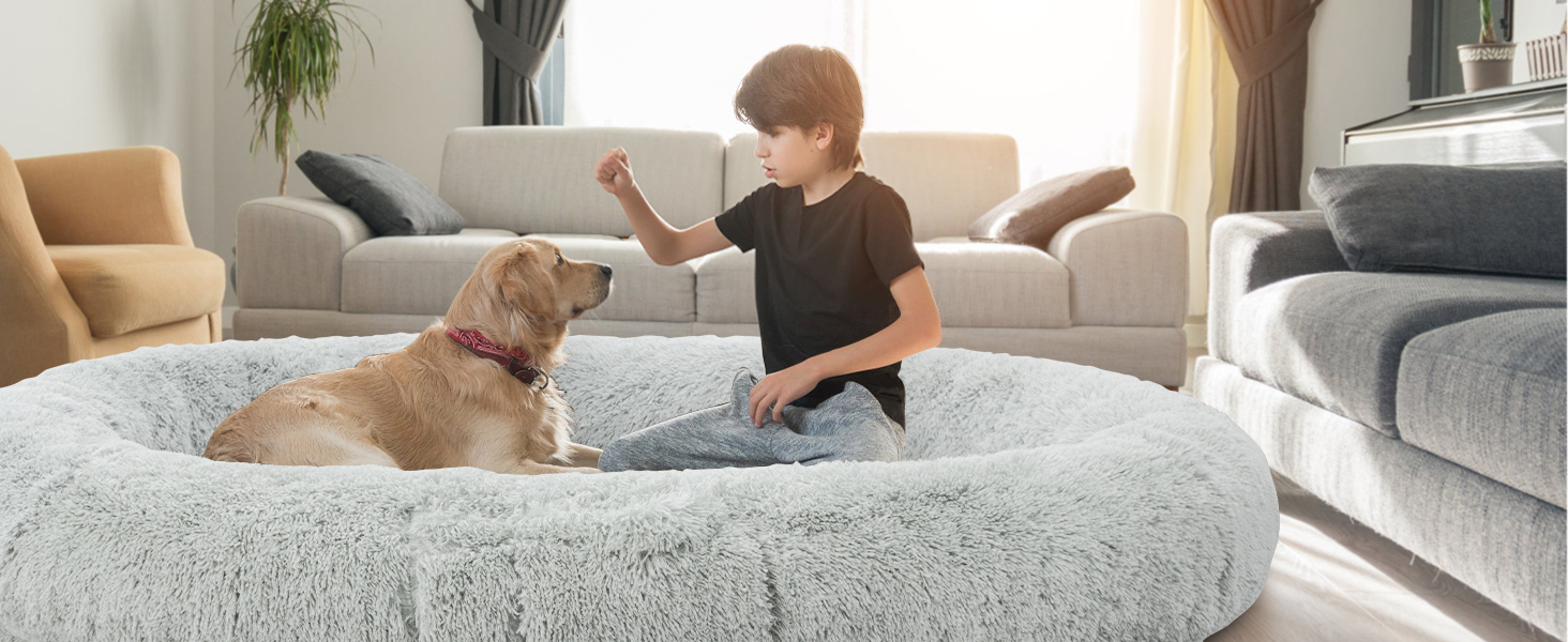 dog bed