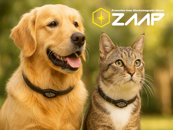 ZAAP Pemily 医療機器搭載 ペット用ネックレス ZAAP Pemily 医療機器搭載 ペット用ネックレス 首輪 楽天市場