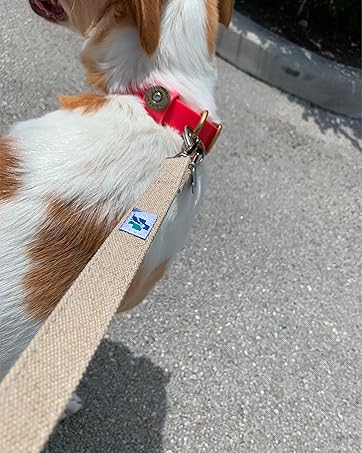 6' All Natural Hemp Fabric Leash