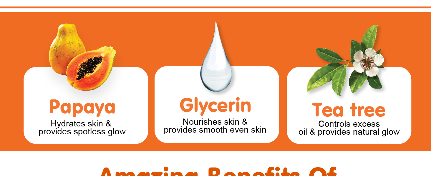 neem face wash pack of 2, neem face wash powder, neem face wash for women oily skin