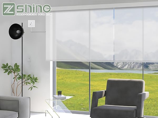 Amazon.com: ZSHINE Motorized Roller Shades Hard-Wired Motor