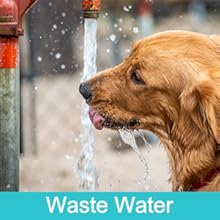 Portable Dog Water Bottle