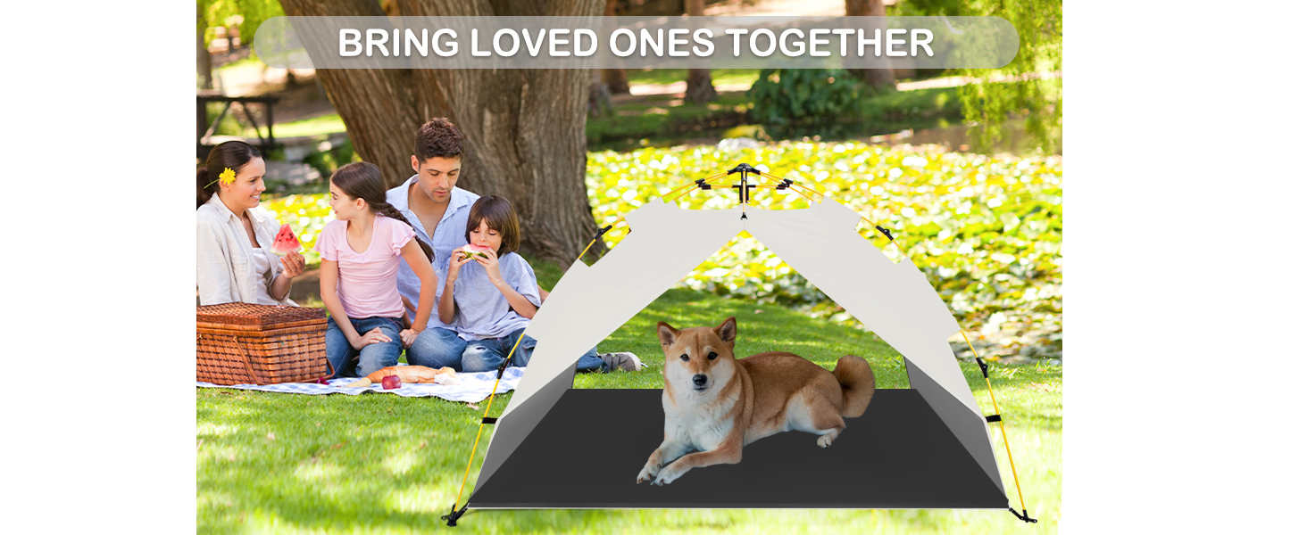 elevated-dog-bed-with-canopy