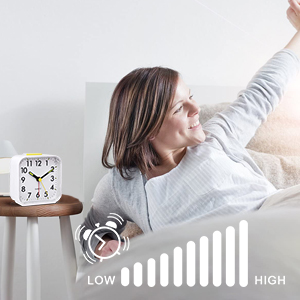 Small manufacture image 4