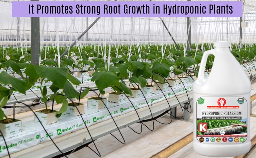 Erwon® Liquid Potassium Fertilizer for Hydroponic plants, Essential