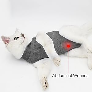 Lianzimau Cat Recovery Suit With Avoid Licking For Surgical Abdominal Wounds Soft Breathable Home Indoor Pet Clothing E Collar Alternative For Cats Dogs After Surgery Wear Pajama Suit Amazon Co Uk Pet Supplies Lianzimau Cat Recovery Suit With Avoid Licking For Surgical Abdominal Wounds Soft Breathable Home Indoor Pet Clothing E Collar Alternative For Cats Dogs After Surgery Wear Pajama Suit Amazon Co Uk Pet Supplies