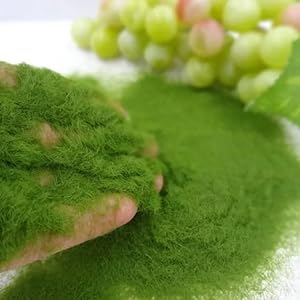 Small manufacture image 1