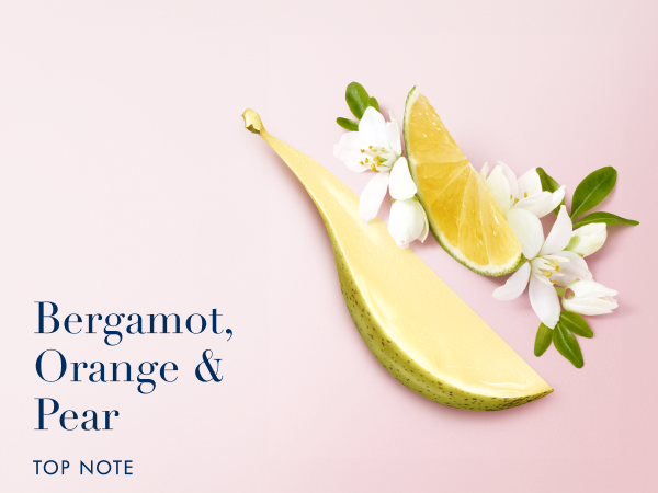 ★ My Way Nectar ★90ml★ケースなし★ 61bcispNuHL._AC_UF1000,