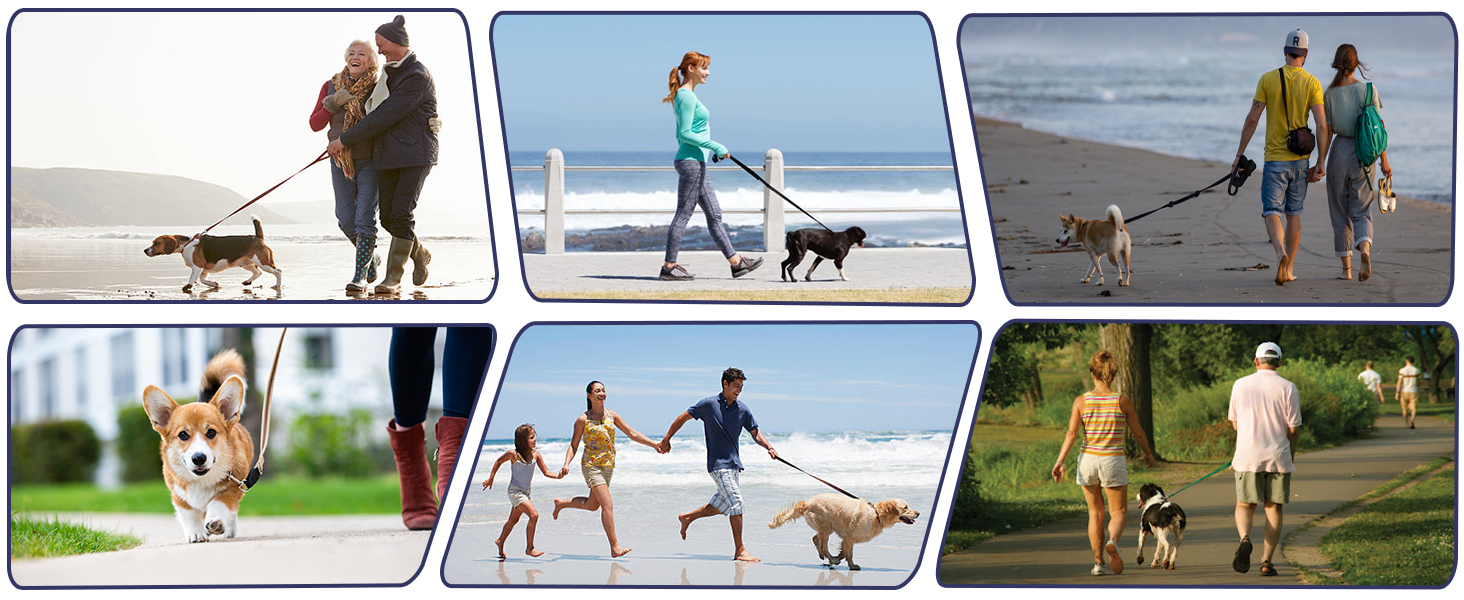 Double Ended Bolt Snaps Hooks