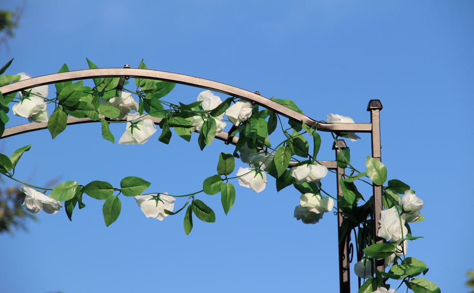 arbor