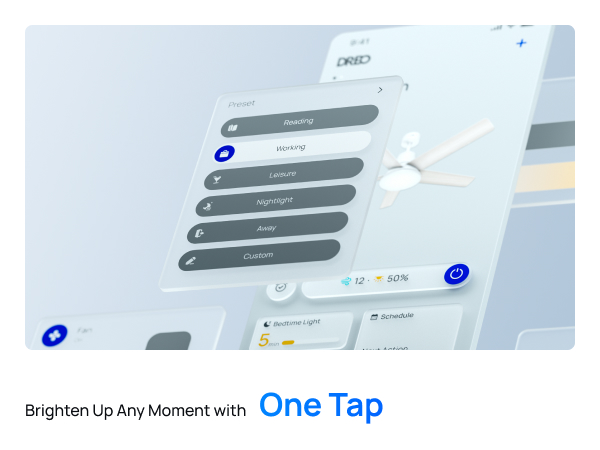 Ceiling Fans with Lights