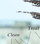 lenoir skincare, facial routine, face serum, facial cleanser, facial moisturizer