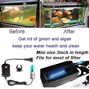 aquarium clean light