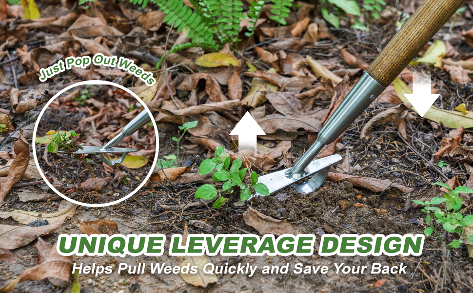 Weed Puller Tool with Long Handle, 60'' Stainless Steel