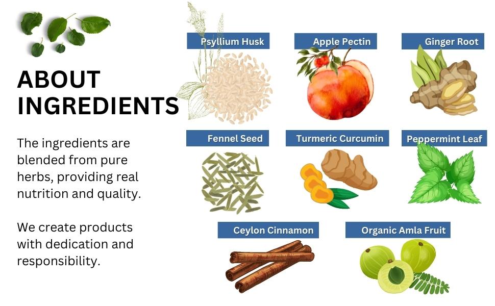 Psyllium Husk, Apple Pectin, Ginger, Fennel Seed, Turmeric Root, Peppermint Leaf, Cinnamon, Amla