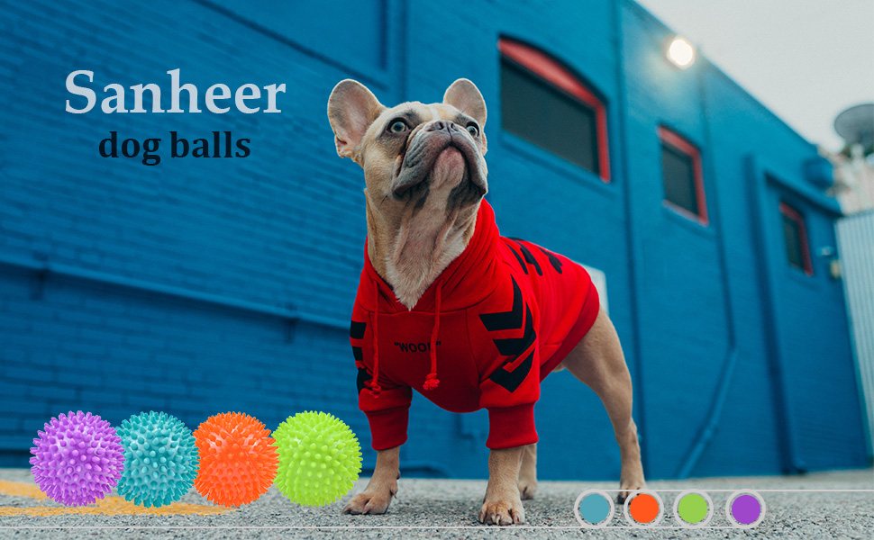 Large Squeaky Dog Balls 12 cm Spikey Dog Toys for Aggressive Chewers